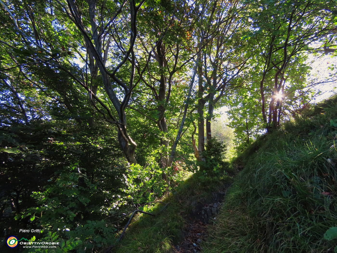 20 Arriva il sole ad asciugare l'erba bagnata di rugiada.JPG